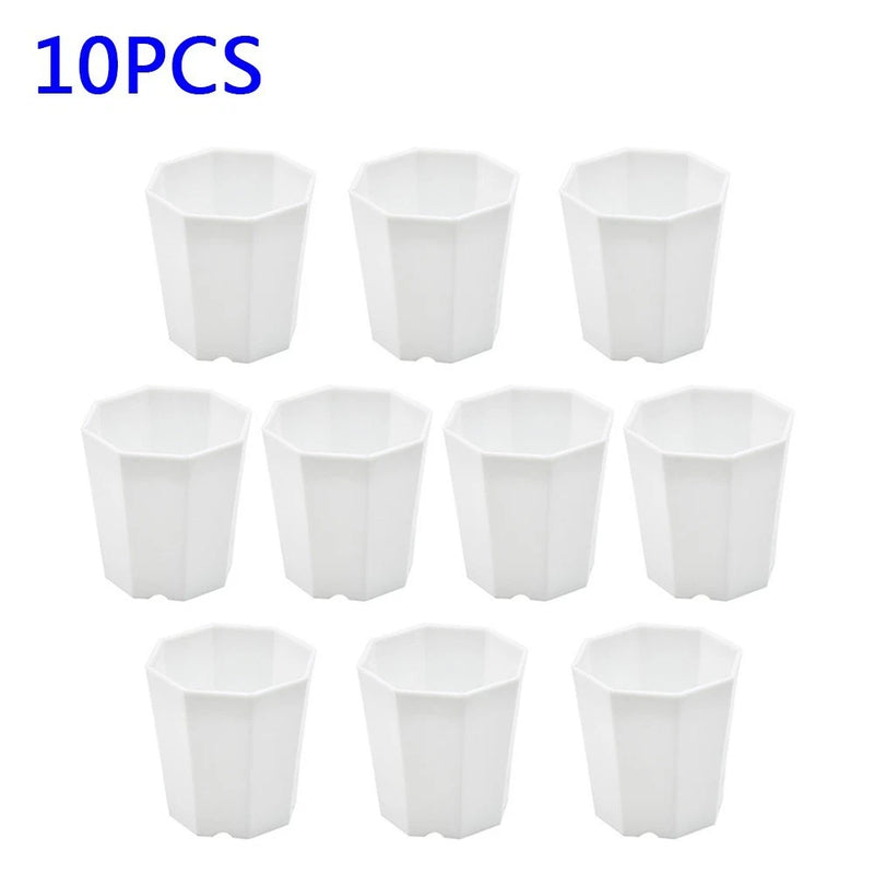 Set of 10 small white plastic hexagon plant pots for gardening and decorations