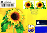 Latvia 2015 (07) Sunflower - Sonnenblume - Tournesol (addressed fdc) Sunflower