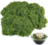 Artificial Moss 50g Ð Realistic Decorative Green Moss for DIY Crafts Green Plant