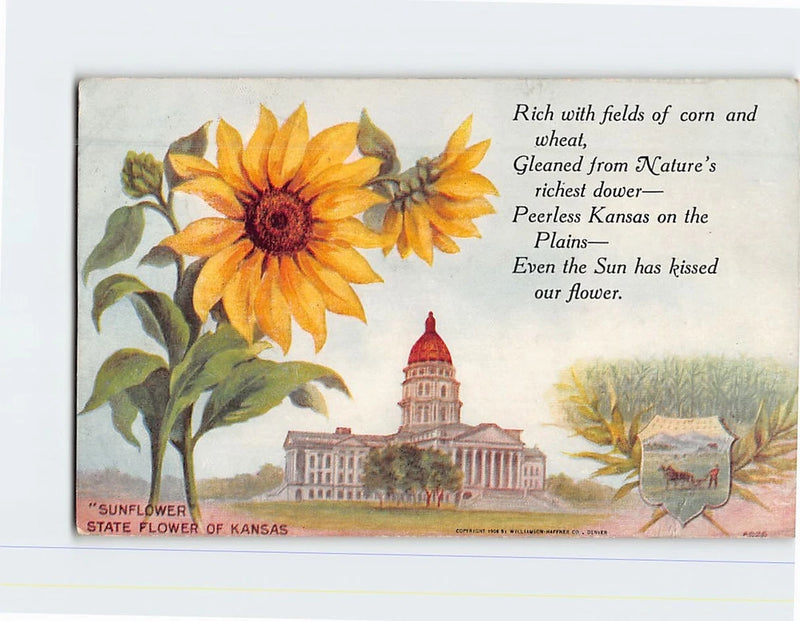 Kansas sunflower postcard with large yellow flower and state capitol illustration