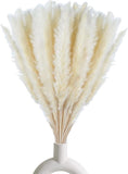 30 Pcs White Pampas Grass - 17 Inch Natural Dried Decor for Elegant Arrangements Pampas Grass