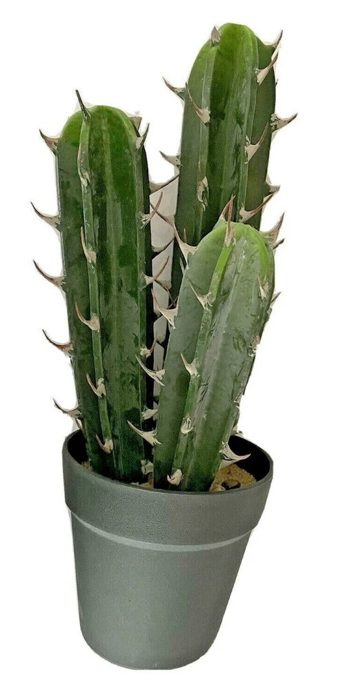 Artificial Succulent Decorative Faux Potted Fake 17inch 3 Mexican Cactus Green Plant