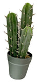 Artificial Succulent Decorative Faux Potted Fake 17inch 3 Mexican Cactus Green Plant
