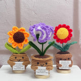 Crochet Sunflower Carnation Daisy, Handmade Flower Desk Decor, Gift for Mom Carnation