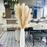 55" Natural Pampas Grass Decor - Tall Pompas for Wedding, Party, Boho Home Pampas Grass