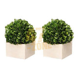 Faux Boxwood Boxed Topiary Home Decor Indoor Faux Tabletop Plant Green Cream Green Plant