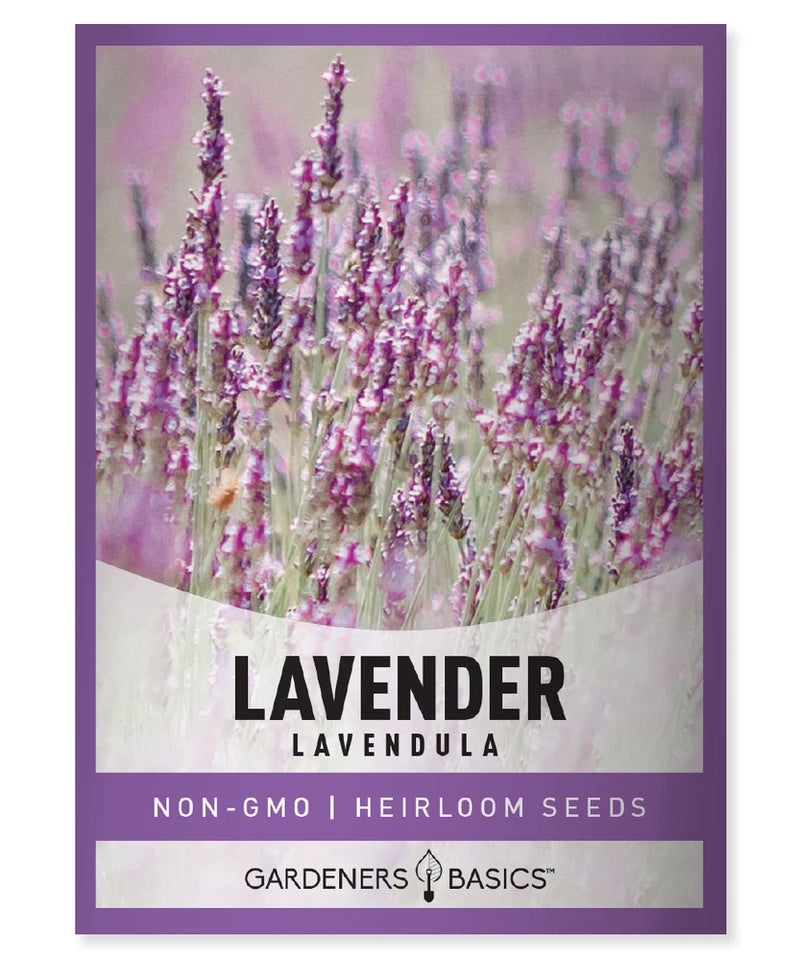 Lavender Seeds Garden Plants