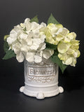 Hydrangea In Ceramic Pot Hydrangea