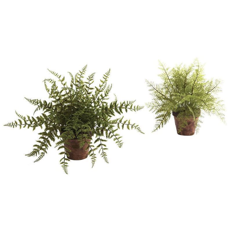Set of 2 artificial fern plants in terracotta pots, green fronds.