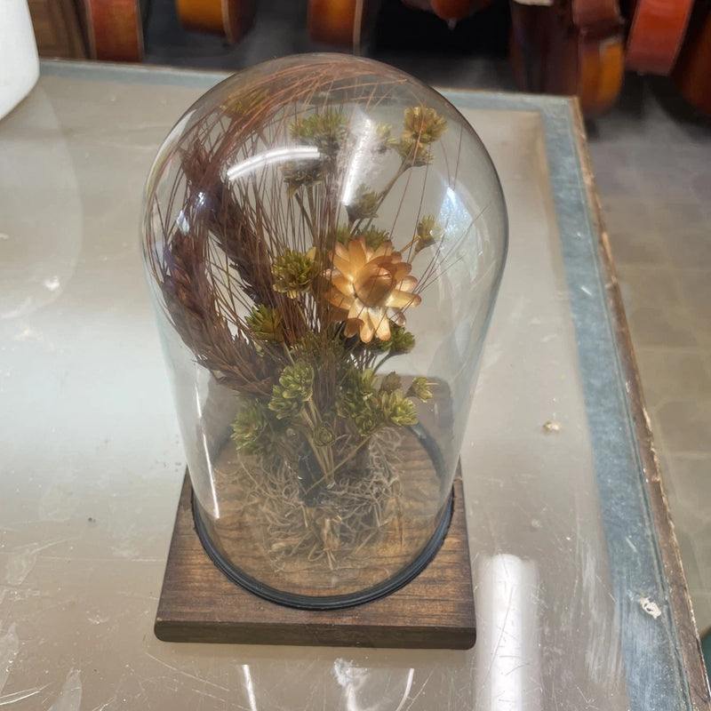 Dried flowers under glass dome with dark base, flowers arranged inside dome