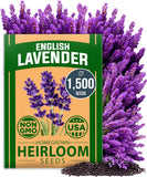 Non-GMO English Lavender Seeds 1,500+ High Germination (Lavandula Antustifolia) Garden Plants
