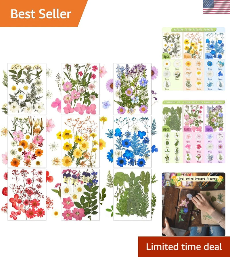 167 Pcs Real Dried Pressed Flowers Natural Dried Flowers Colorful Daisy Mixed... Dried Flower