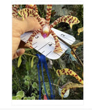 2 cuts Scorpion Vanda Orchid 7+  height cut Arachnis Rare & Exotic orquide Orchids