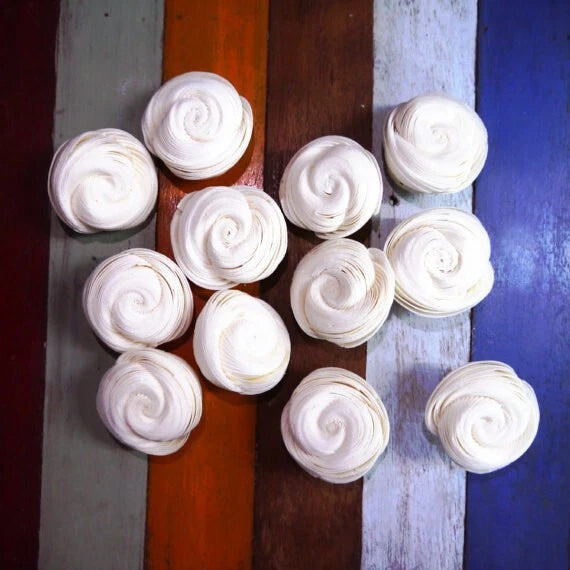 Sola wood flower diffuser flowers set of white spiral rosettes, craft decor