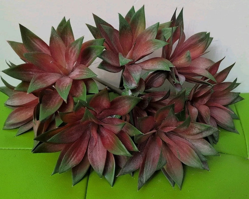 Artificial OrangeIsh Green Succulent  Pick 7"X 4" (8) Green Plant
