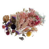 Natural Dried Flowers Home Wedding   DIY Scrapbooking Card Making Dried Flower