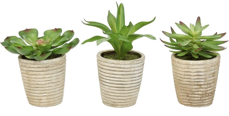 Set of 3 Artificial Succulents in Ribbed Concrete Pots Faux Indoor Plants Green Green Plant