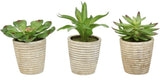 Set of 3 Artificial Succulents in Ribbed Concrete Pots Faux Indoor Plants Green Green Plant