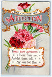 Language Of Flowers Romance Postcard Red Carnation Affection Owensville MO 1911 Carnation