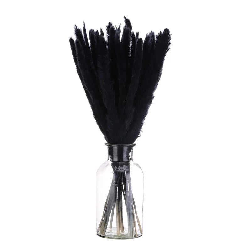 Black Pampas Grass Decor,  30PCS 17 Inch(Length) Pampas Grass Bundle Pampas Grass