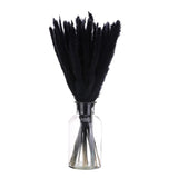 Black Pampas Grass Decor,  30PCS 17 Inch(Length) Pampas Grass Bundle Pampas Grass
