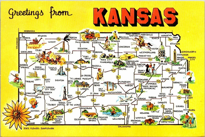 Vintage PPC - Greetings from Kansas, State Flower, Sunflower - F16173 Sunflower