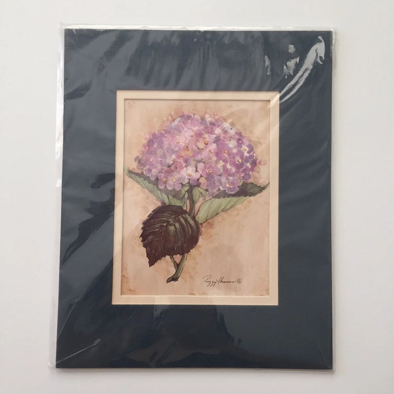 New & Sealed Watercolor Pencil Sketch Hydrangea Floral Matted Print Art 8"x10" Hydrangea