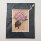 New & Sealed Watercolor Pencil Sketch Hydrangea Floral Matted Print Art 8"x10" Hydrangea