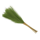 Faux Pampas Grass Fake Pampas Grass Decor, 21"/55cm / Grass Green / 20 Pcs Pampas Grass