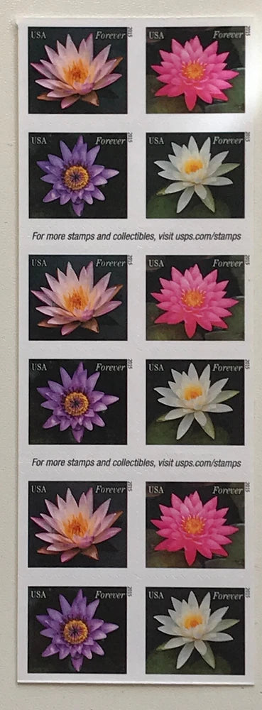 2015 Water Lilies Forever Stamps Scott's #4964-4967 bMNH Pane of 20 Lily