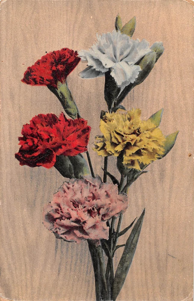 Vintage gelatin postcard featuring a bouquet of red, white, yellow, and pink carnations