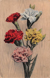 1911 Gelatin Postcard of Lovely Red, White, Yellow & Pink Carnations - 1132/3 Carnation
