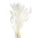 60pcs Natural Bunny Tails Dried Flowers 24" Mini Pampas Grass, White Dried Flower
