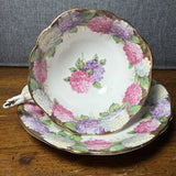 Rare Paragon Hydrangea Cup And Saucer Royal Double Warrant 1930s Hydrangea