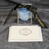 Baby Blue Venus Et Fleur Eternity Rose With Acrylic Storage Box And Note Roses