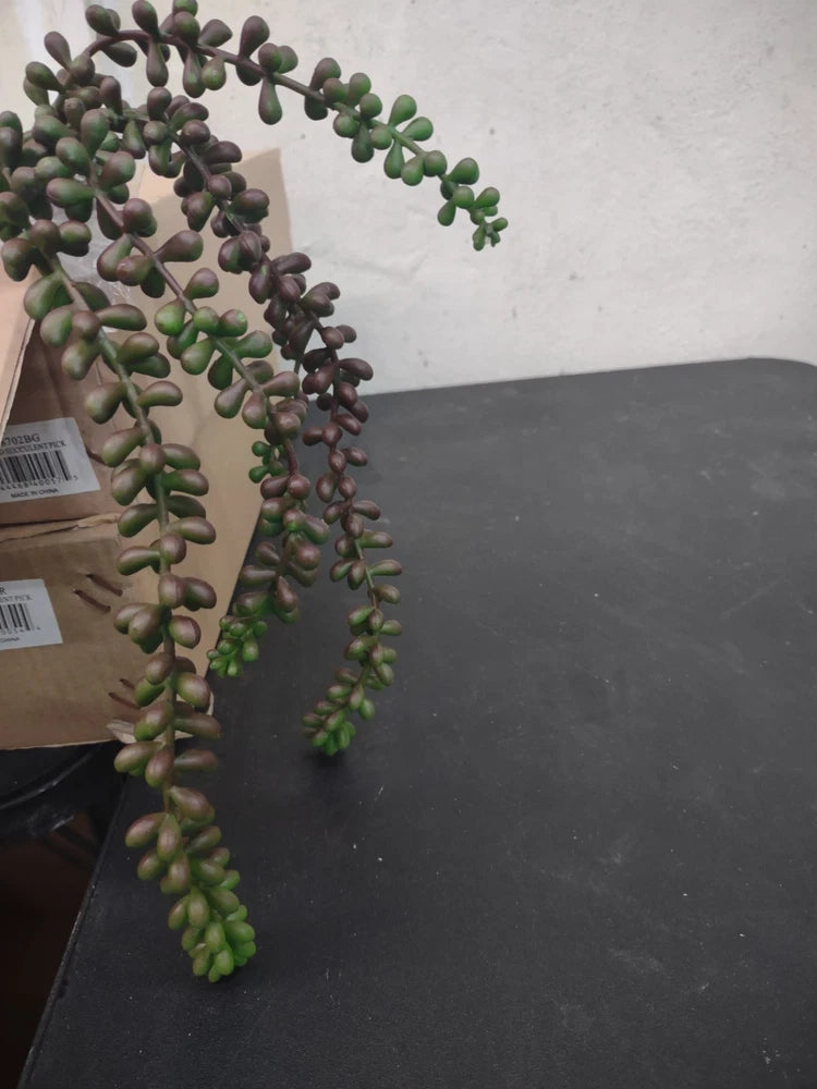 Hanging Pearl Succulent, Gorgeous Burgundy & Green, Retro Plastic Garden Plant Green Plant