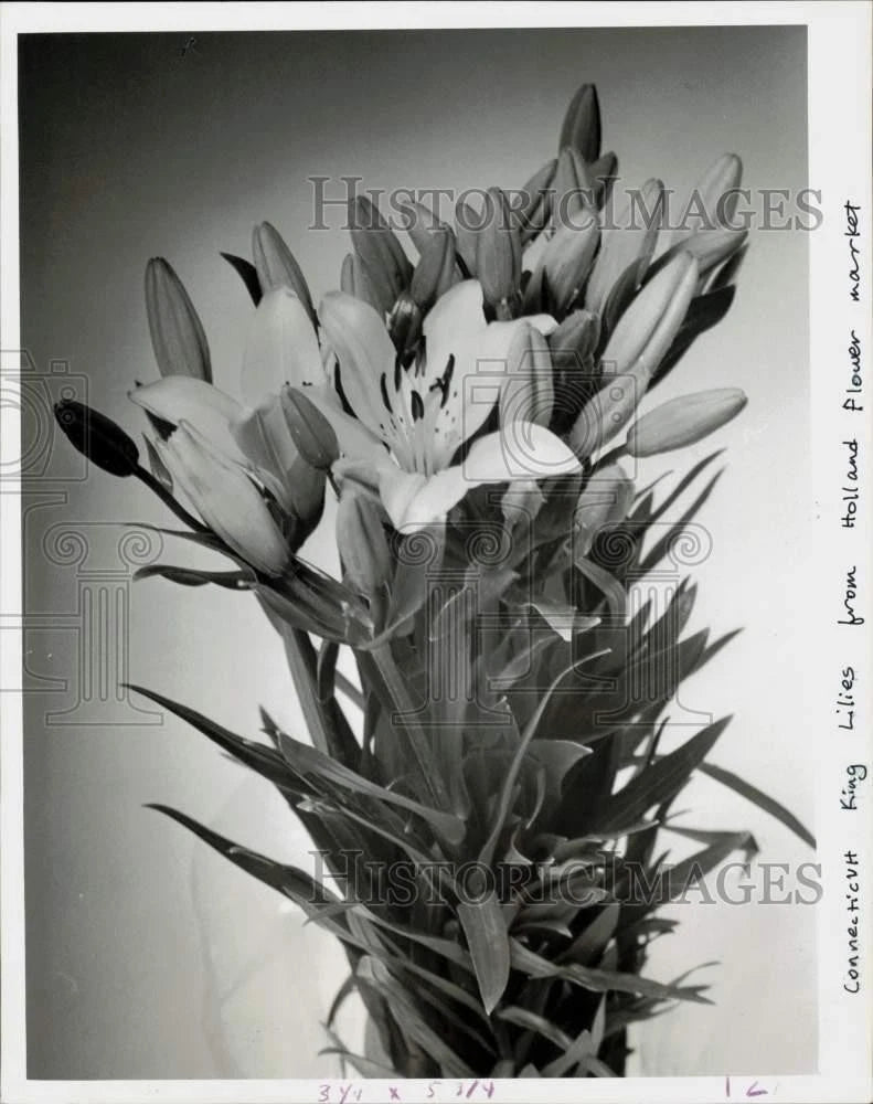 White king lily bouquet press photo, close-up flower arrangement