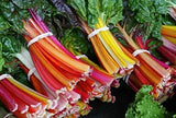100 Swiss Chard Seeds for Planting Rare Colorful Garden Vegetable Garden Plants