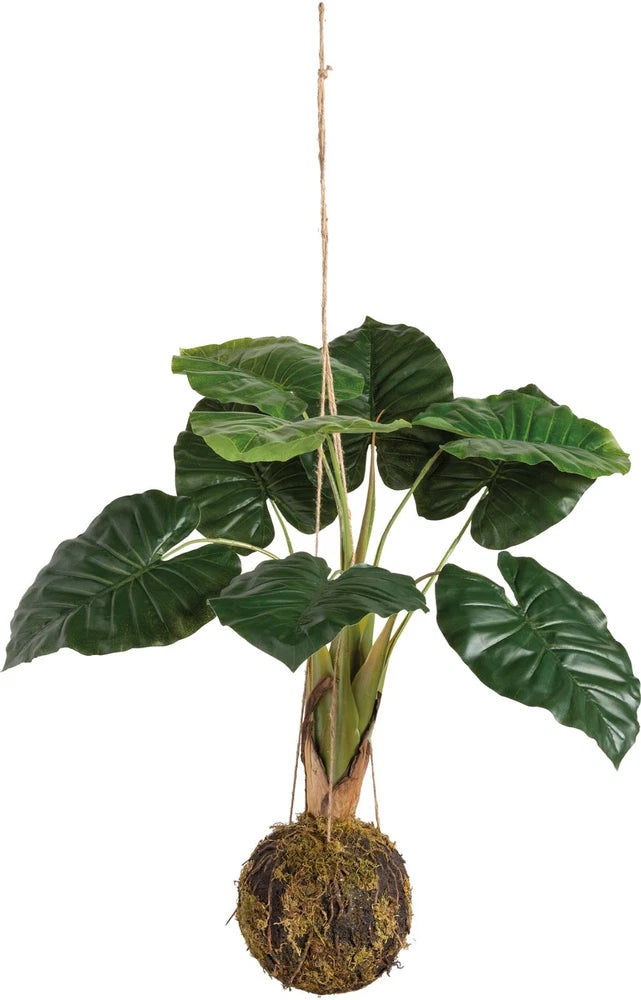 Artificial hanging monstera plant with green leaves and moss ball base