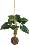 Artificial Botanical Hanging Plant | Large Monstera | 35 Inch | Primitives Kathy Green Plant
