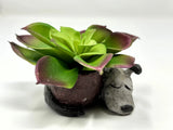 2" Potted Baby SLEEPING DOG Blob House Mini pot WITH faux Succulent as shown, ha Green Plant
