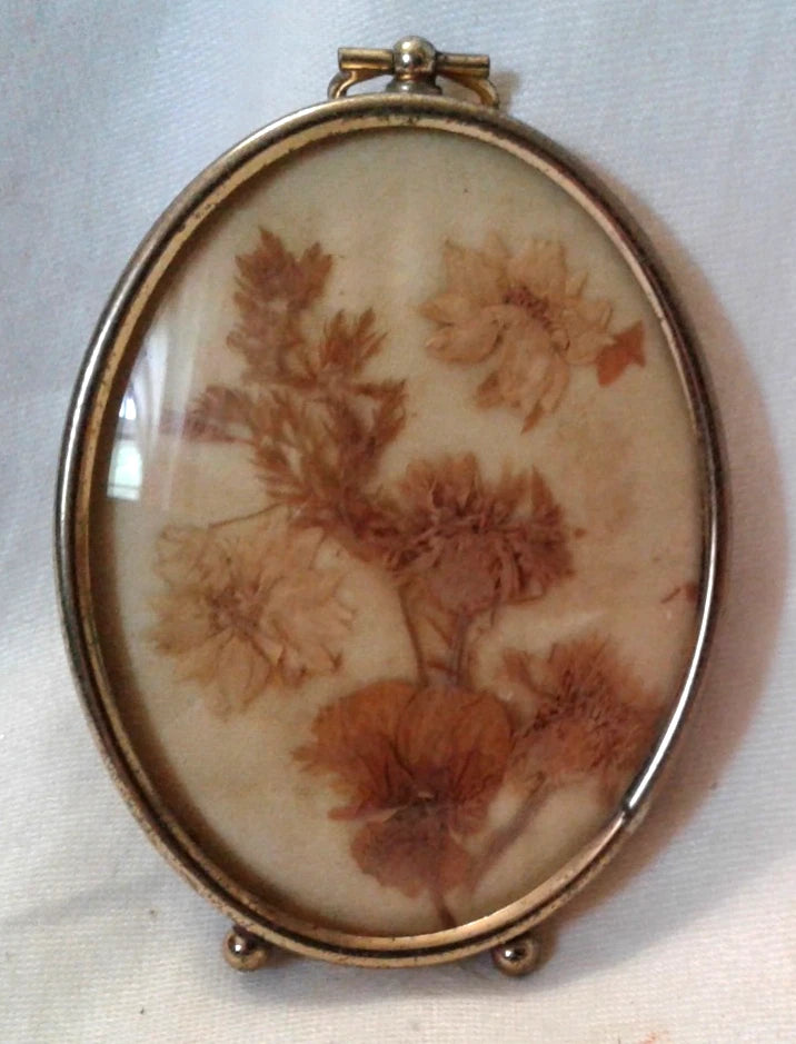 Vintage oval framed dried flowers under glass, warm brown-orange blooms