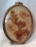 Vintage Oval Framed Dried Flowers Dried Flower