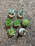 Set of 7 Mini Artificial Succulent Plants Ð Potted Faux Greenery Green Plant