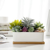 Assorted Artificial Succulents in White Ceramic Pot w/ Removable Bamboo Tray Green Plant
