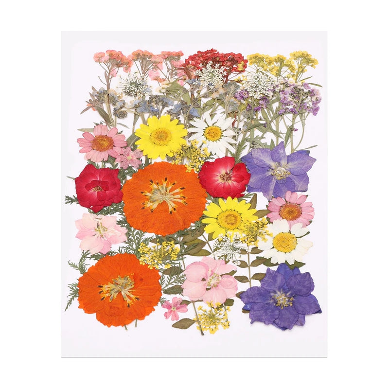 48 Pcs Dried Pressed Flower Leaves Bulk for Resin, Colorful Light Colors Dried Flower