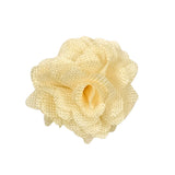 Wrapables Shabby Chic Burlap Rose Flower 3 Inch Diameter (Set of 12), Champagne Bouquet