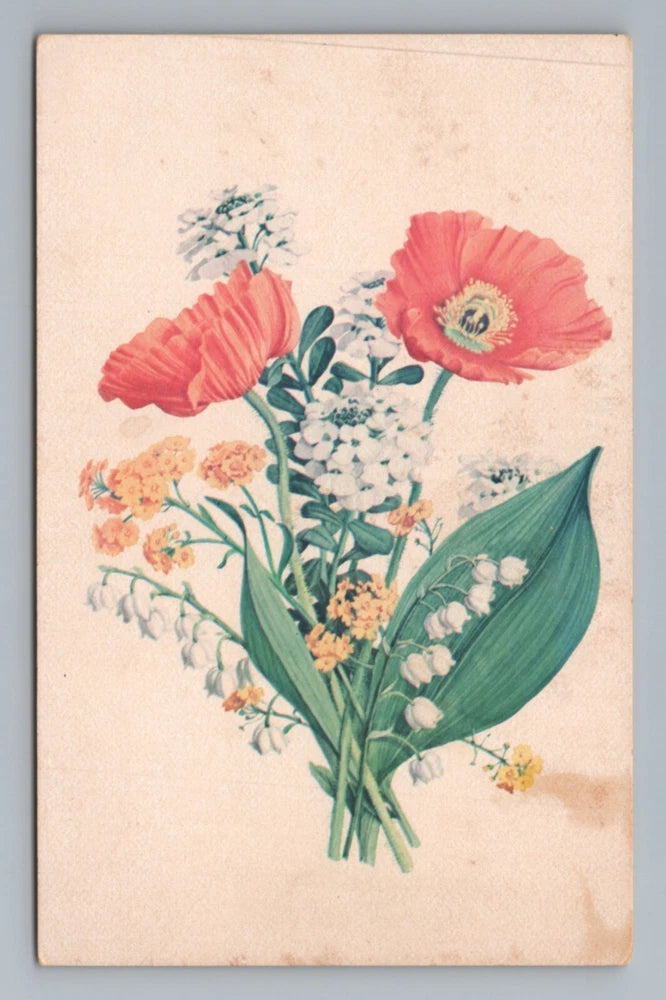 Floral Bouquet Poppies Lilies Vintage Postcard Lily