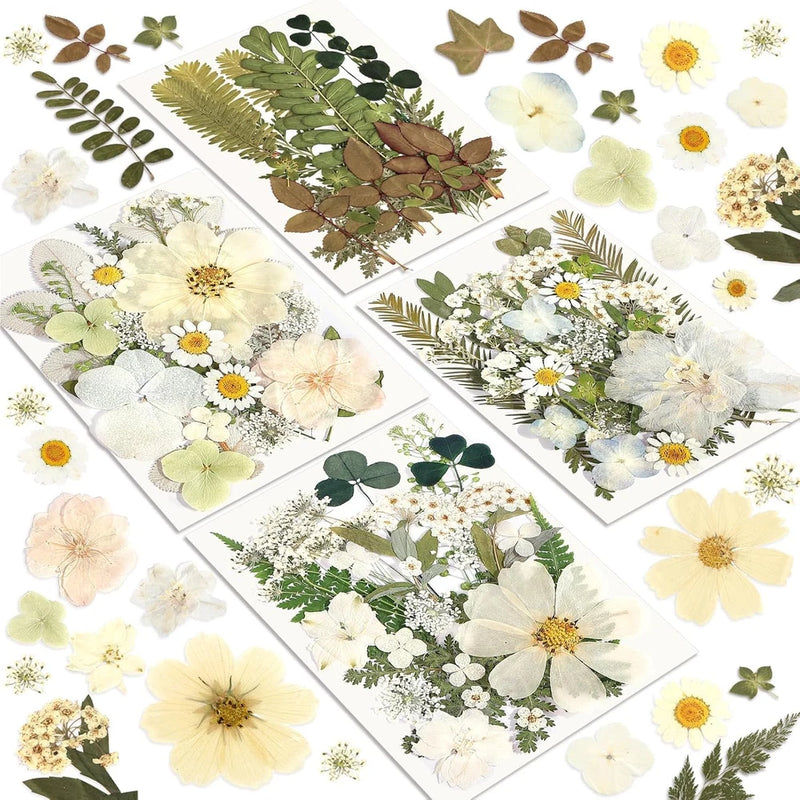 Pressed dried flower set, 100 assorted pieces on white craft cards