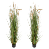 Uimoso Artificial Horsetail Reed Grass in Pot, 59-Inch, 2-Pack, Green Green Plant